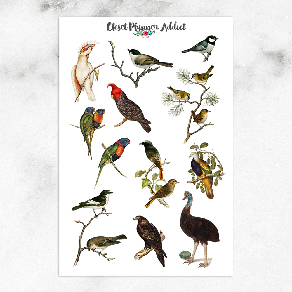 Australian Birds Planner Stickers (s-632) – Closet Planner Addict